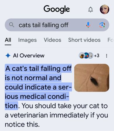 Screenshot of a Google return for ‘a cats tail falling off’ and the “ai overview” sooo helpfully informs us, the idiot humans the following: 
A cat's tail falling off is not normal and could indicate a serious medical condi-
tion. You should take your cat to a veterinarian immediately if you notice this