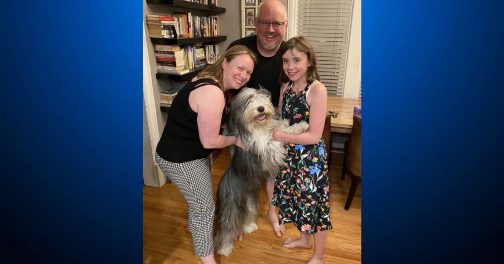 Sunnyvale family reunited with lost dog after extortion attempt – 'We're so thankful'