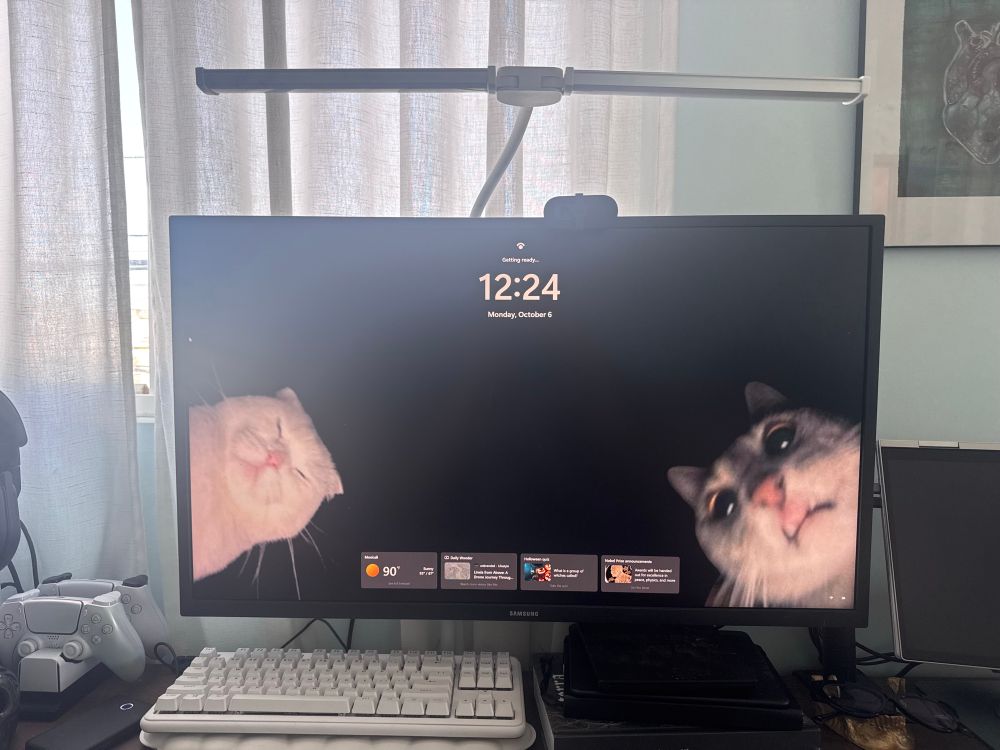 The lock screen on my computer is like a black background with two cats. Just looking silly while they stare at the camera. A little blurry.