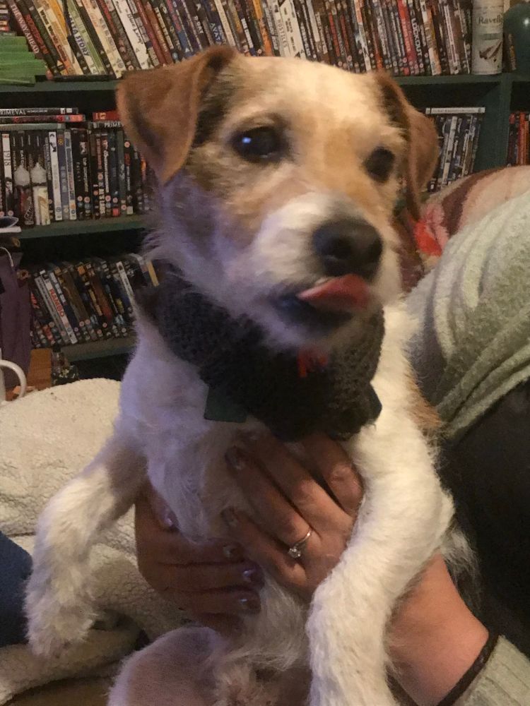 Muttley