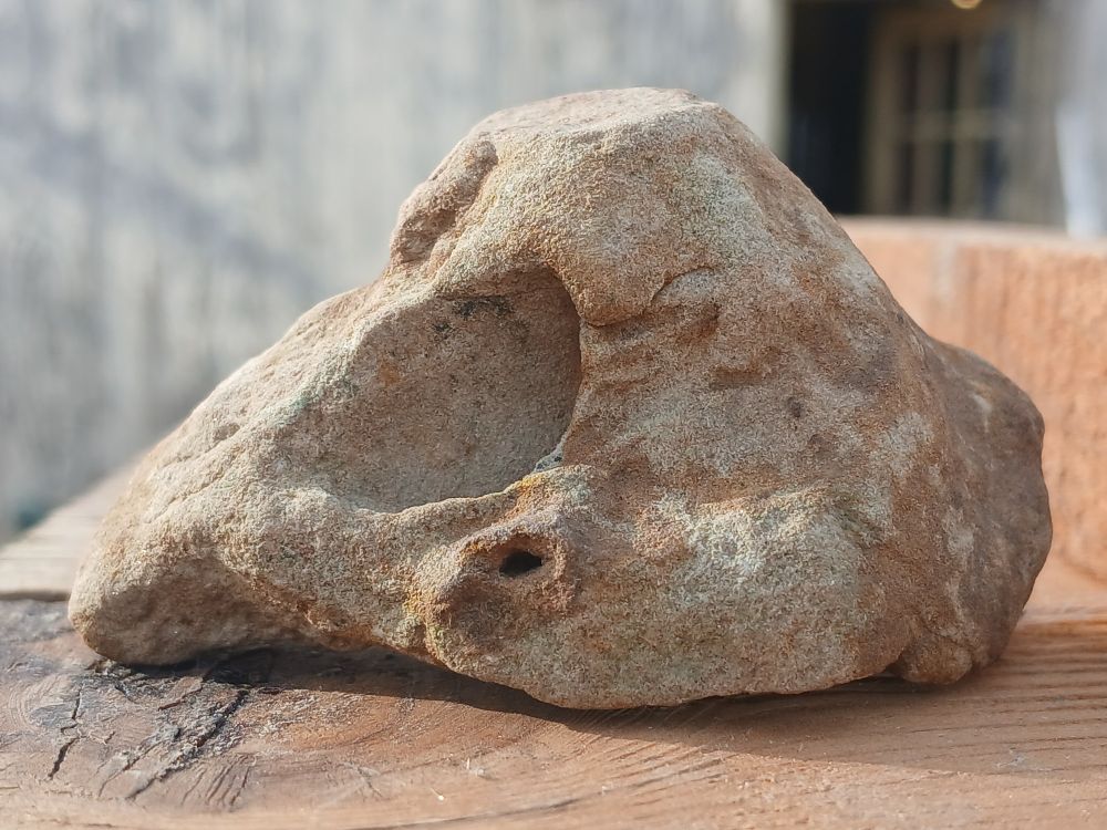 Fossil of some kind of skull I found in Missouri. I'm not sure if it's pre-avian. The pose is facing left