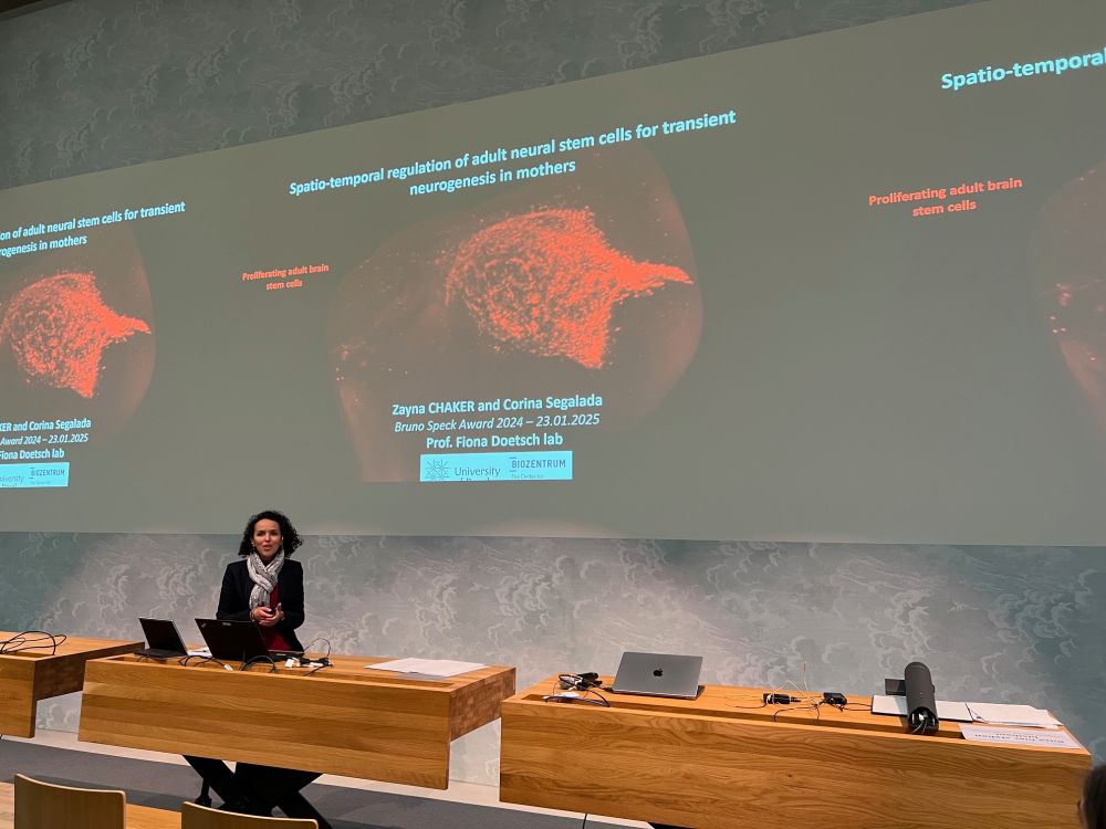 Picture of person giving a talk