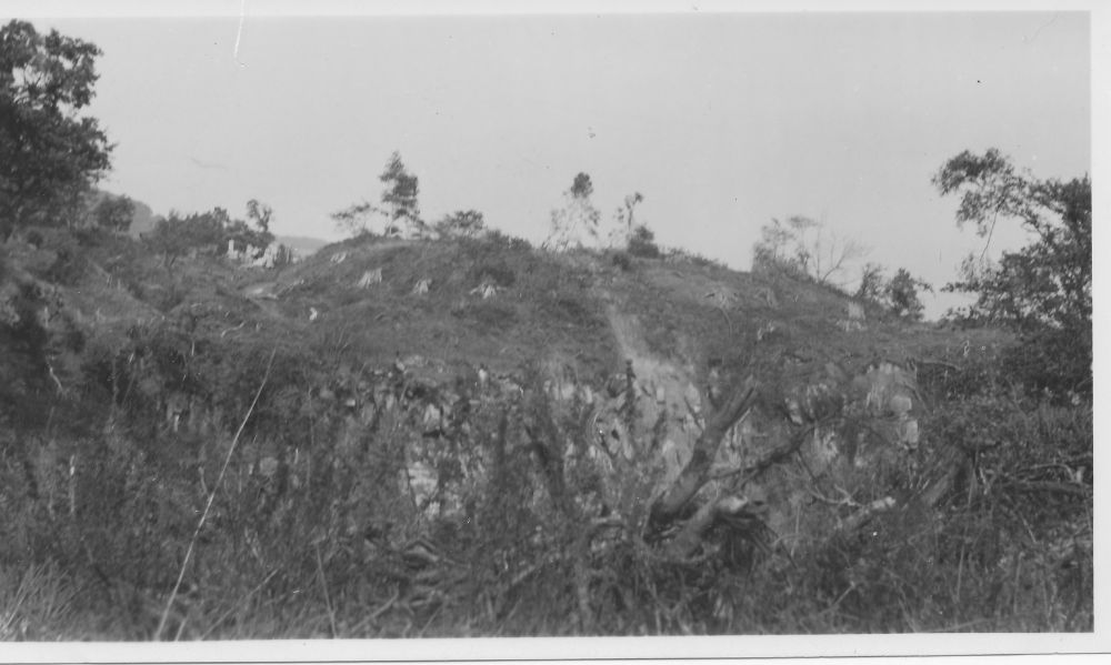 Motte after tree felling in 1947