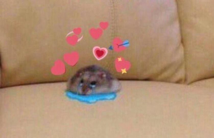 a graint image of a hamster shedding tears with hearts floating above it