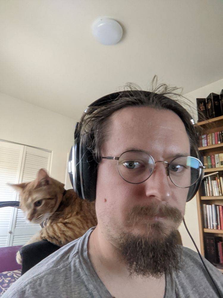 A cat perches on the back of a computer chair behind a writer who really really needs to focus
