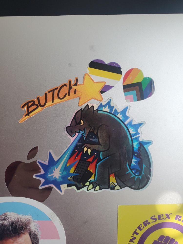 A godzilla sticker on the back of a silver macbook. Above it are two heart stickers, one in the colours of the progress pride flag, the other the nonbinary pride flag. A sticker of a shooting star carrying the word "butch" passes over them.
