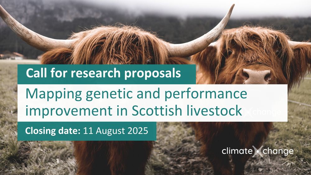 Call for research proposals: Mapping genetic and performance improvement in Scottish livestock. Closing date 11 August 2025
