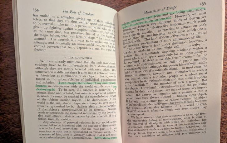 Section 2. Destructiveness, chapter Mechanisms of Escape, The Fear of Freedom, Erich Fromm. 