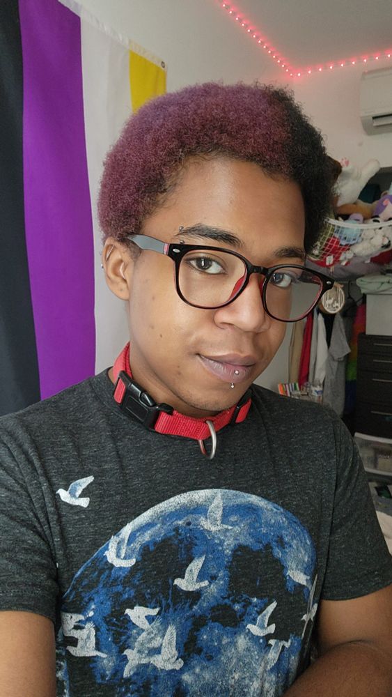 Indigo is smiling in natural lighting wearing a gray shirt with a full moon and birds on it, and a red collar. The nonbinary pride flag hangs in the background.