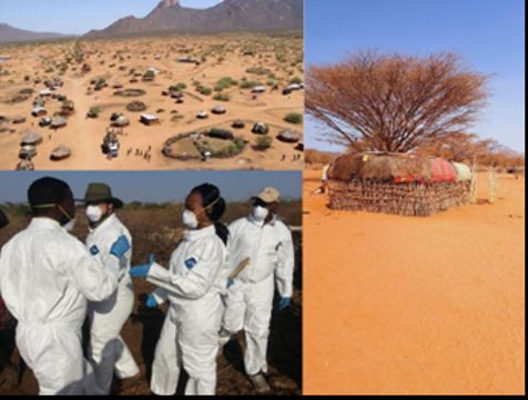 Researchers doing infectious disease surveillance in rural Kenyan communities that work closely with animals, including cattle, sheep, goats, and camels. It is common for infectious diseases to spill over from animals to humans and then spread via human-to-human transmission around the globe -- this happens with flu all the time. Image courtesy of WSU Global Health Kenya.