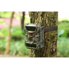 Typical inexpensive motion-activated trail (wildlife) cam