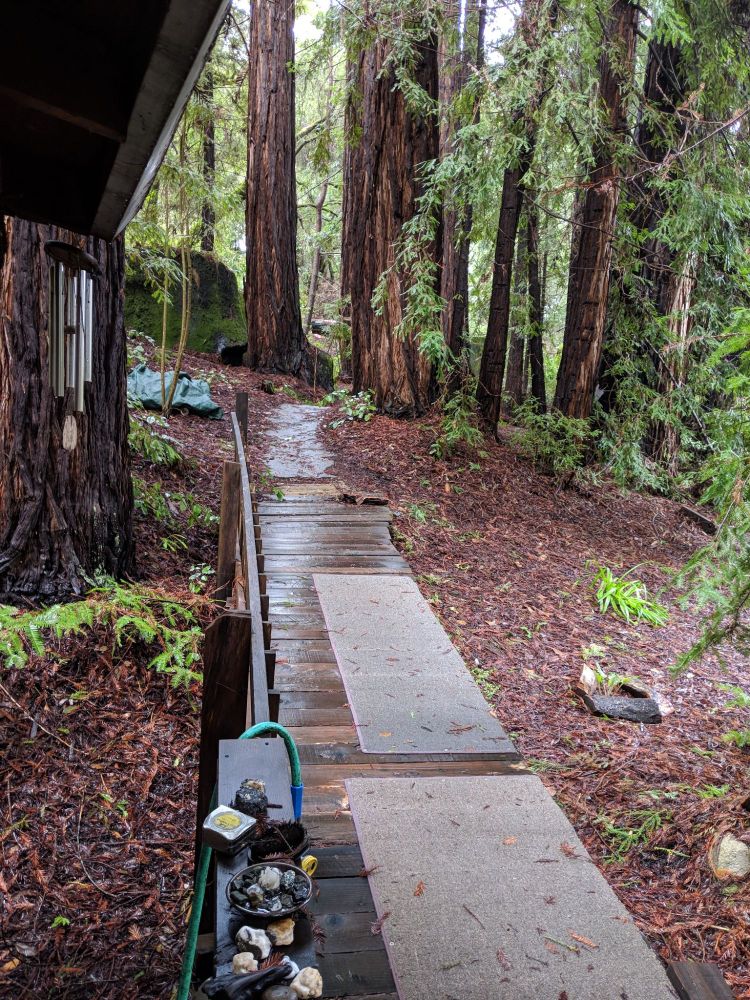 Looking out after a morning rain, bridge leading up to a path between redwoods. Wind chimes, and collection of precious stones sitting on handrail.