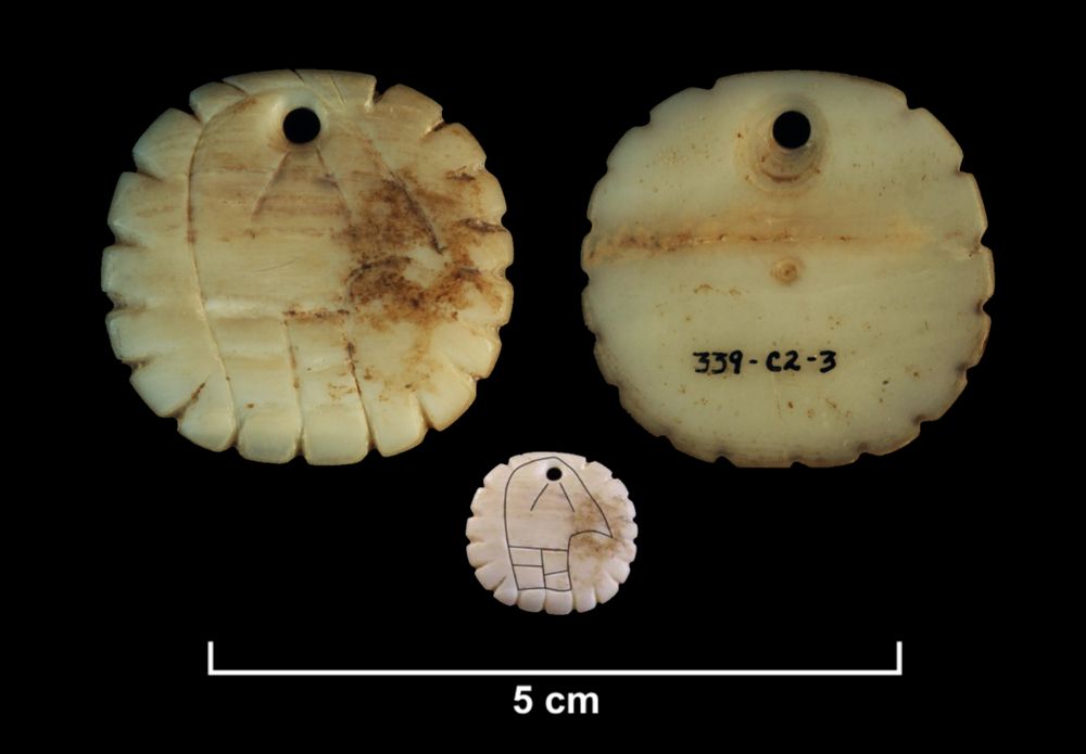 Front and back side of a shell pendant with notched edges and a turkey motif on front side. A third view shows an overlay of the incised lines forming the turkey head. Artifact is from the Late Precontact Glenwood phase time period, site 13ML139; catalog/accession #: 339-C2-3