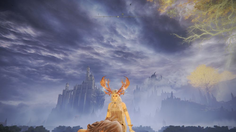 A screenshot of my character in Elden Ring