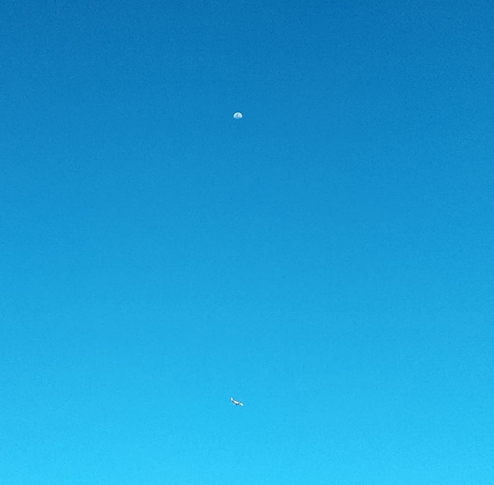 A half moon and a plane together in sunlight 