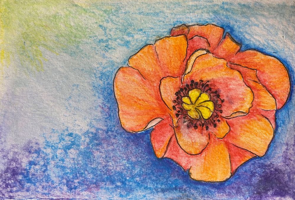 An orange poppy painted on a blue background with watercolours and ink.