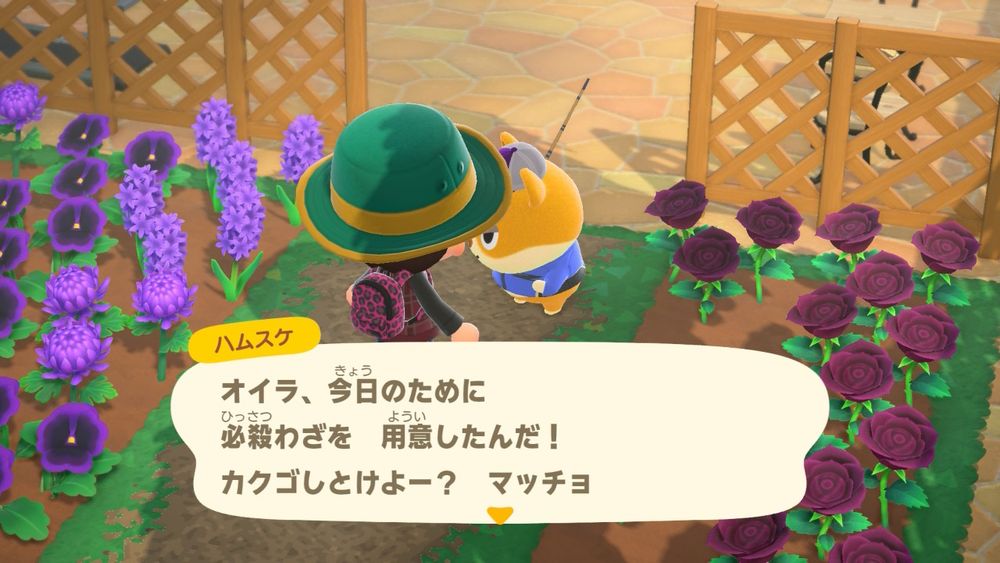 筋肉ハム(ハムスケ)