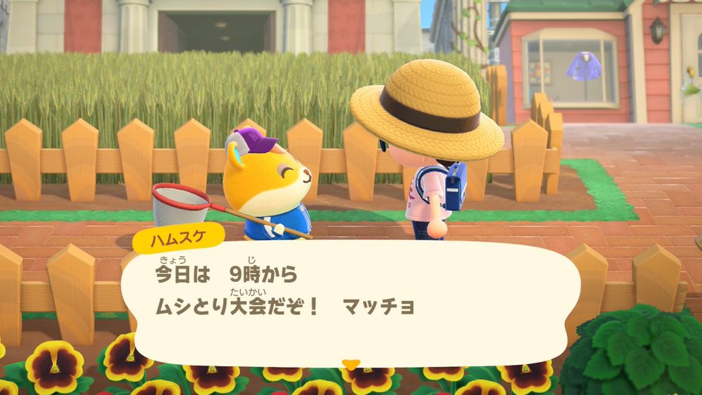 筋肉ハム（ハムスケ）