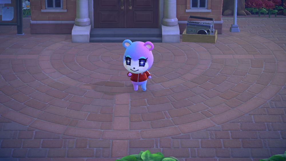 みすずお嬢様（嫁）
※赤いハムスター　アップルにとっては最大級天敵