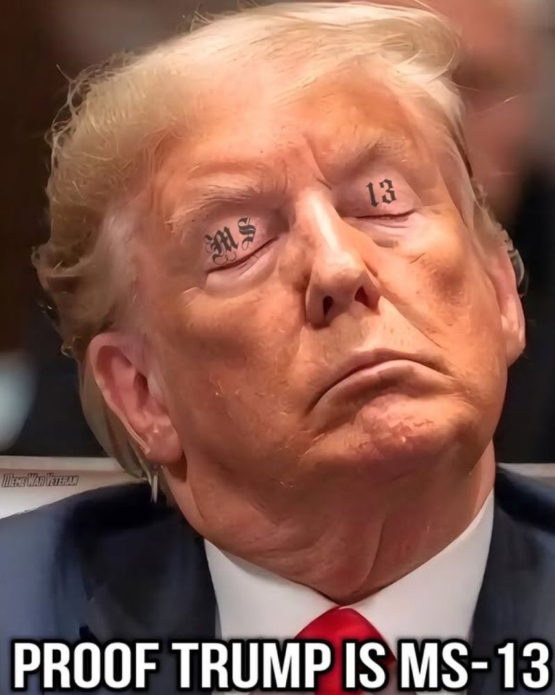 A picture of the orange idol falling asleep in a meeting with MS 13 photoshopped onto his closed eyelids. Text: " proof Trump is MS-13".