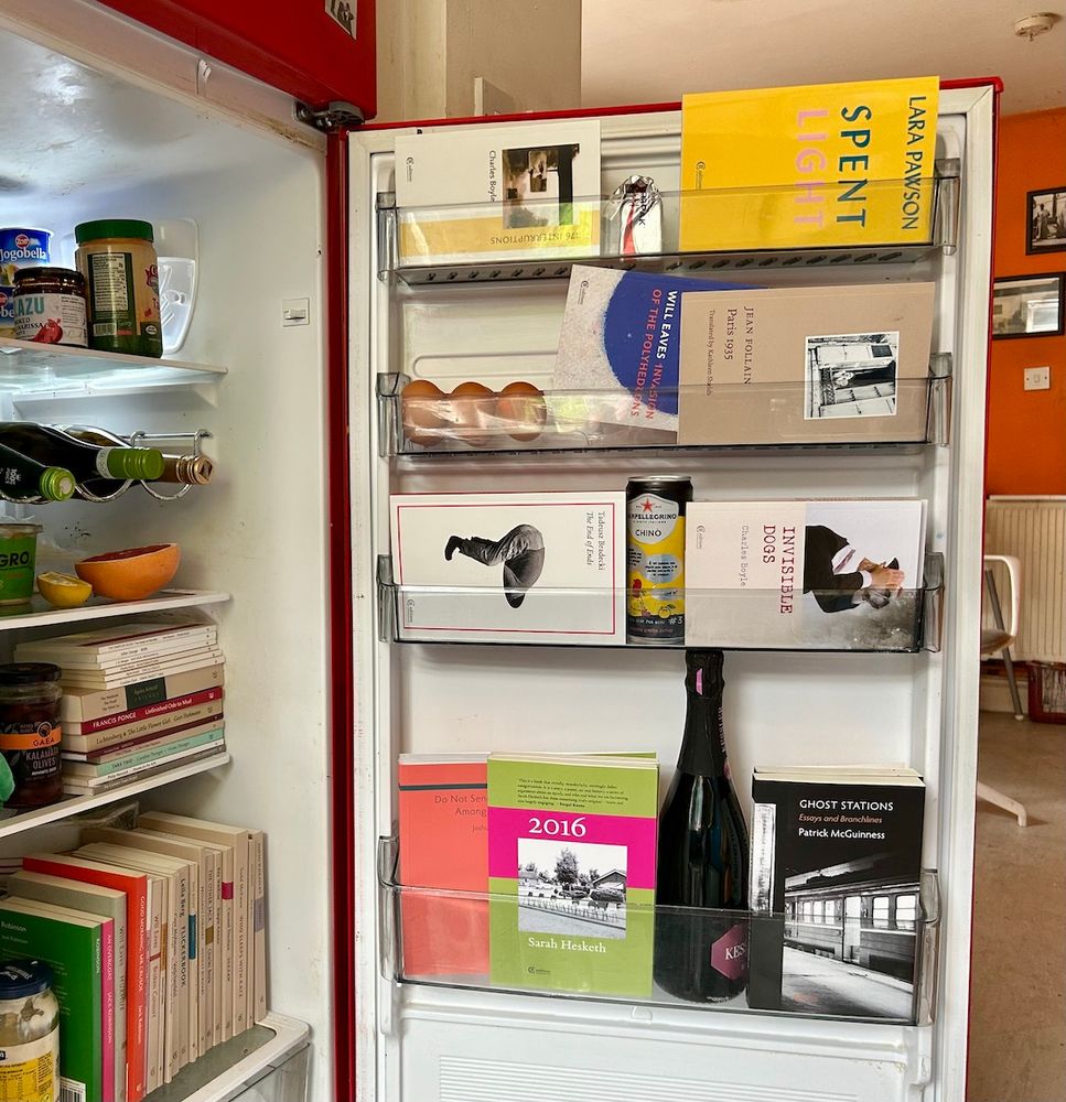Pic shows books in fridge and on shelves of fridge door