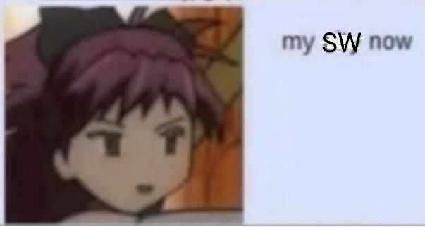 The "my city now" meme of Kyoko Sakura from Madoka Magica, cropped tightly on her low res face. Edited to say "my software now"