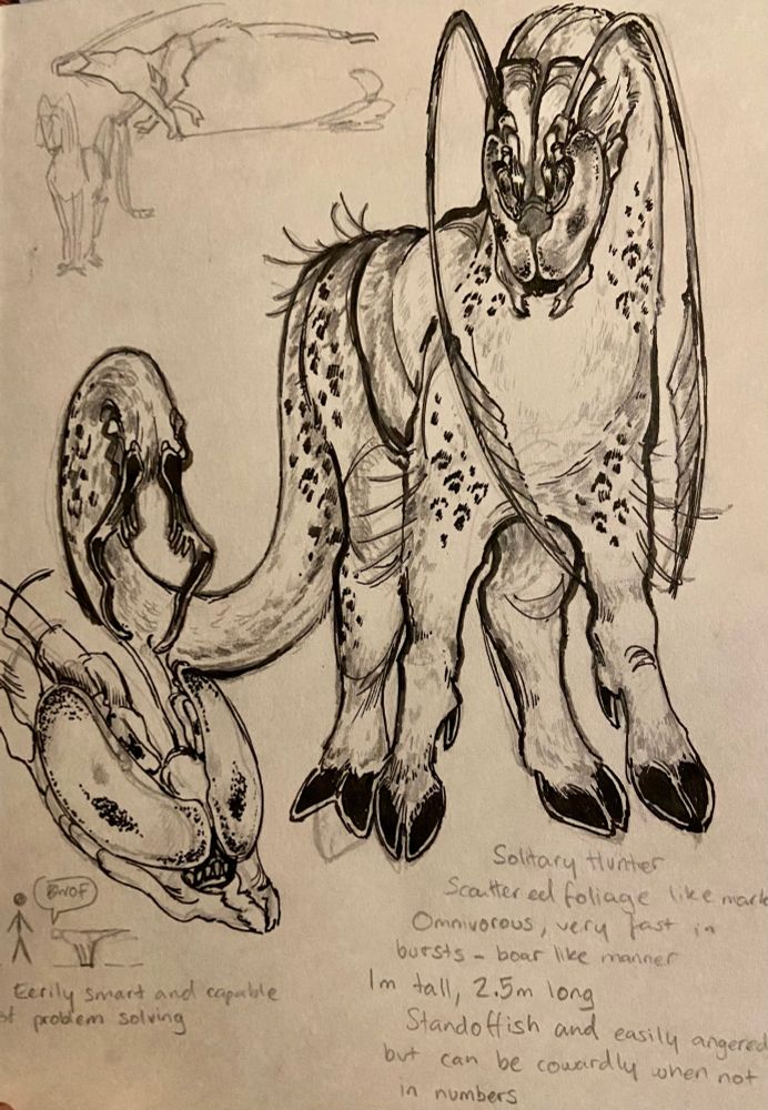 a pencil and marker sketch of a solitary hunter. it is a boar like creature, with a long, grasping tail, feathery antenna and a face dominated by compound eyes