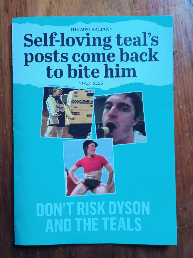 A leaflet emblazoned with a headline from "The Australian" reading "Self-loving teal's posts come back to bite him", then "Don't risk Dyson and the teals". The text is accompanied by three photos all of the same man in which he is flipping the bird at a cop car, drinking a beer, and twerking in small underwear and a cropped top.
