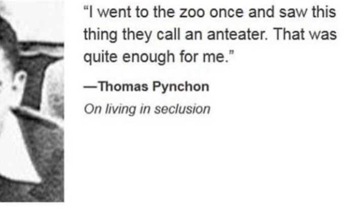 "I went to the zoo once and saw this thing they call an anteater. That was quite enough for me."
- Thomas Pynchon On living in seclusion