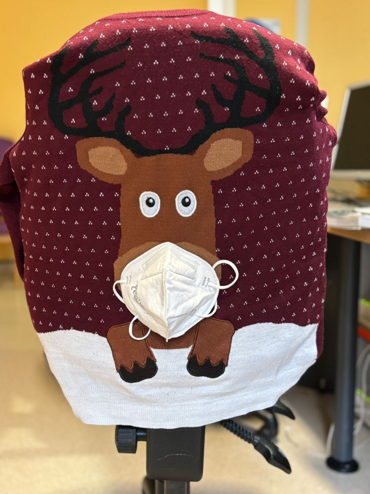 An image of Rudolph wearing a mask. 