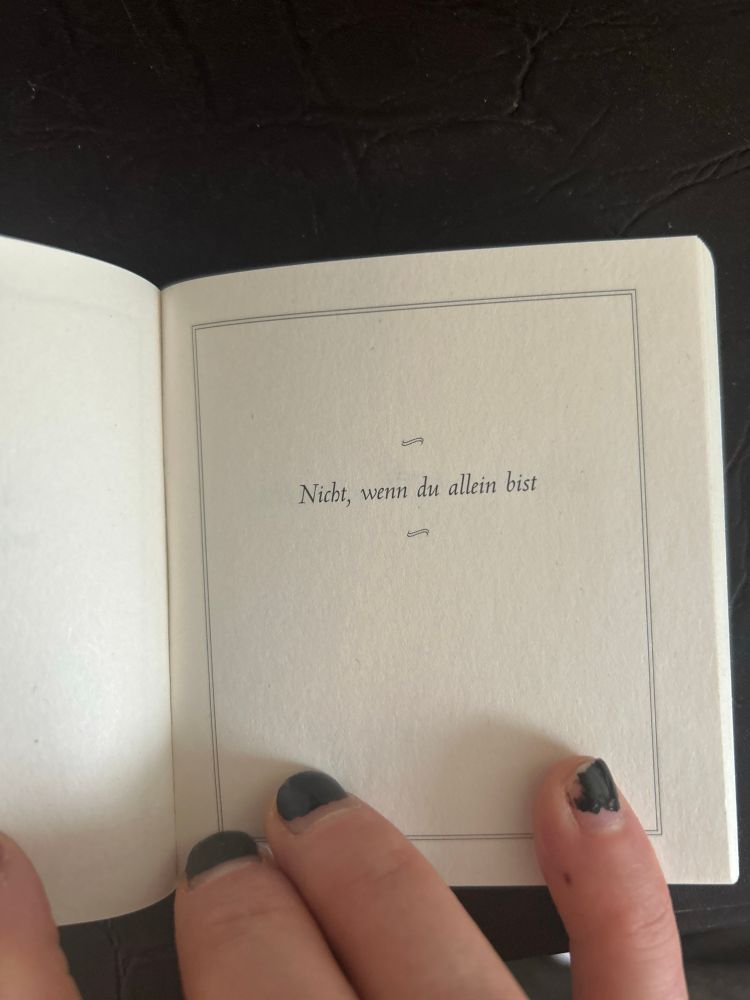 Buchseite „Nicht, wenn du allein bist“ 