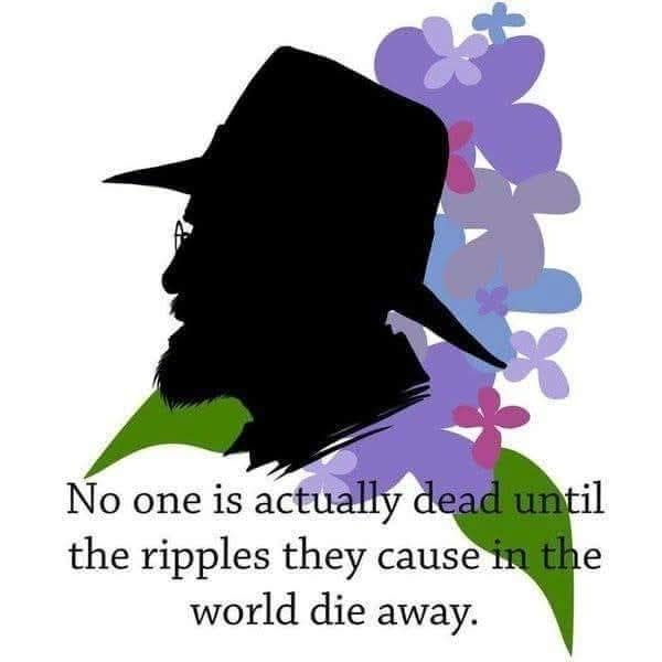 A silhouette of Terry Pratchett wearing his trademark hat is pictured against a stylised background of a lilac flower and leaves.