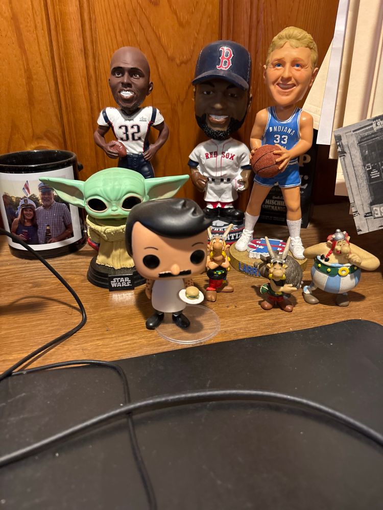 A few Funko Pops, Bobbleheads and French comic book figures. Collected by a definite non-loser! 