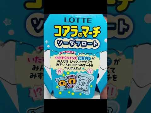 【コアラのマーチ】#コアラのマーチ#40周年#ロッテ #ソーダフロート#shorts