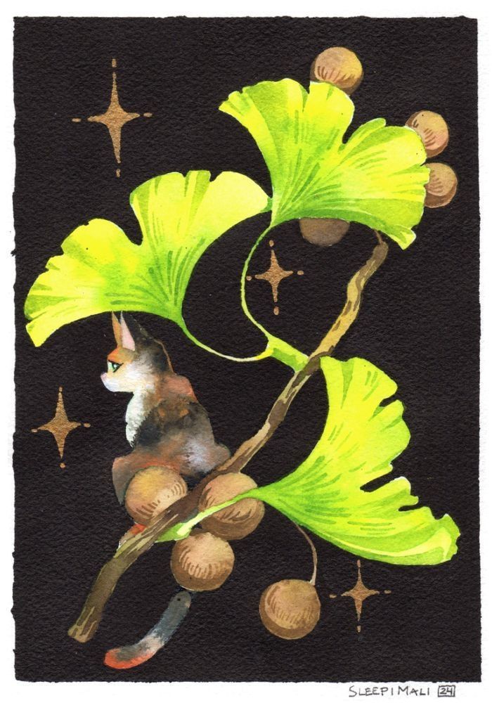 Watercolour and ink painting of a tiny calico cat sitting on a gingko branch with yellowish green leaves and nuts, on a black background. A few stars are surround the cat and branch.