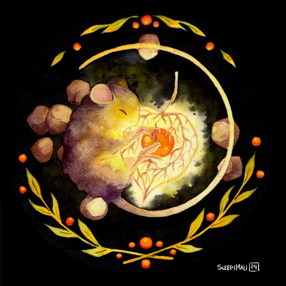 Watercolour and ink painting of a sleepy mouse holding a glowing lantern plant close, on a black background. There are decorative elements of leaves and berries. 