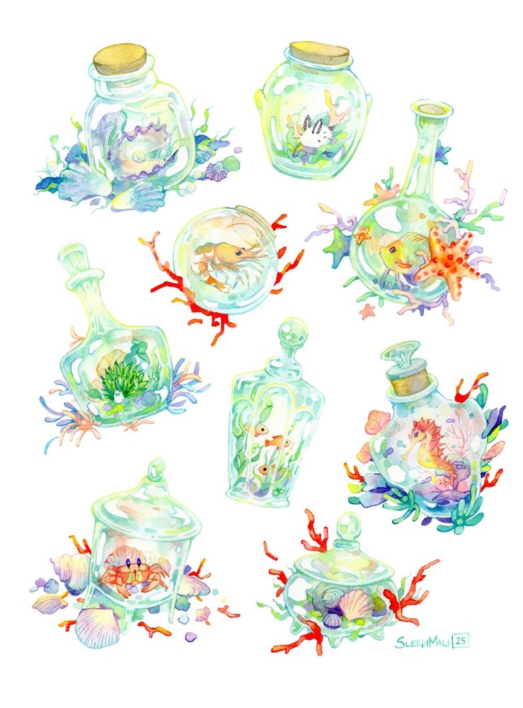 Watercolour painting of several glass jars and bottles on a plain white background. Each bottle has some form of sea creature in it and is surrounded with shells and corals. Creatures include: pearl oyster, nudibranches, shrimp, fish, crab, seahorse and some clams