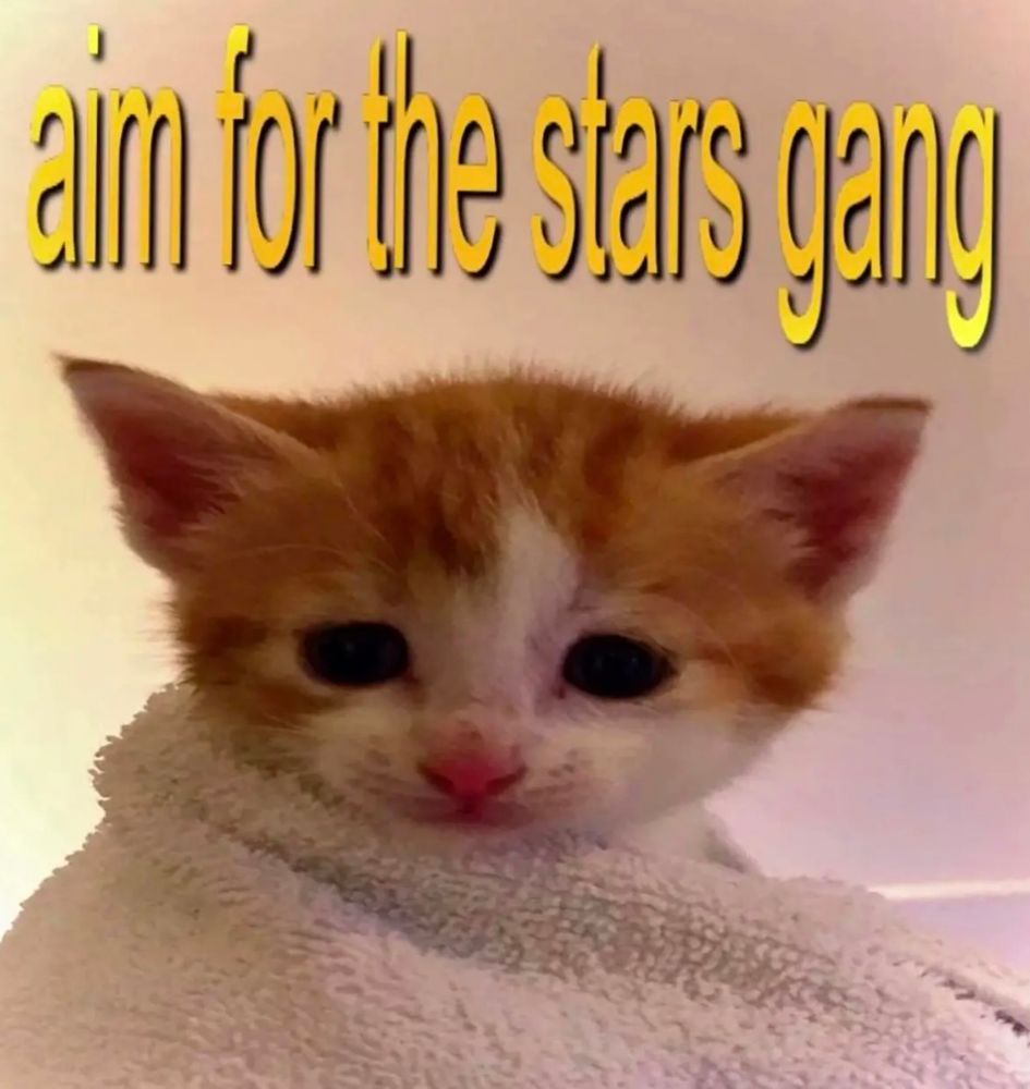 Kitty wrapped in a blanket with the text “aim for the stars gang” above them.