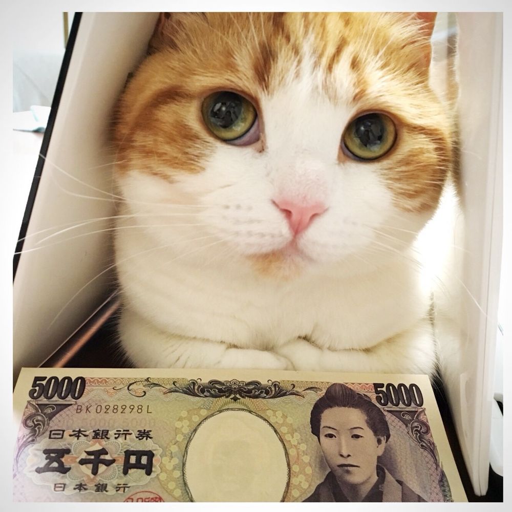 加工してない写真はどっか消えた