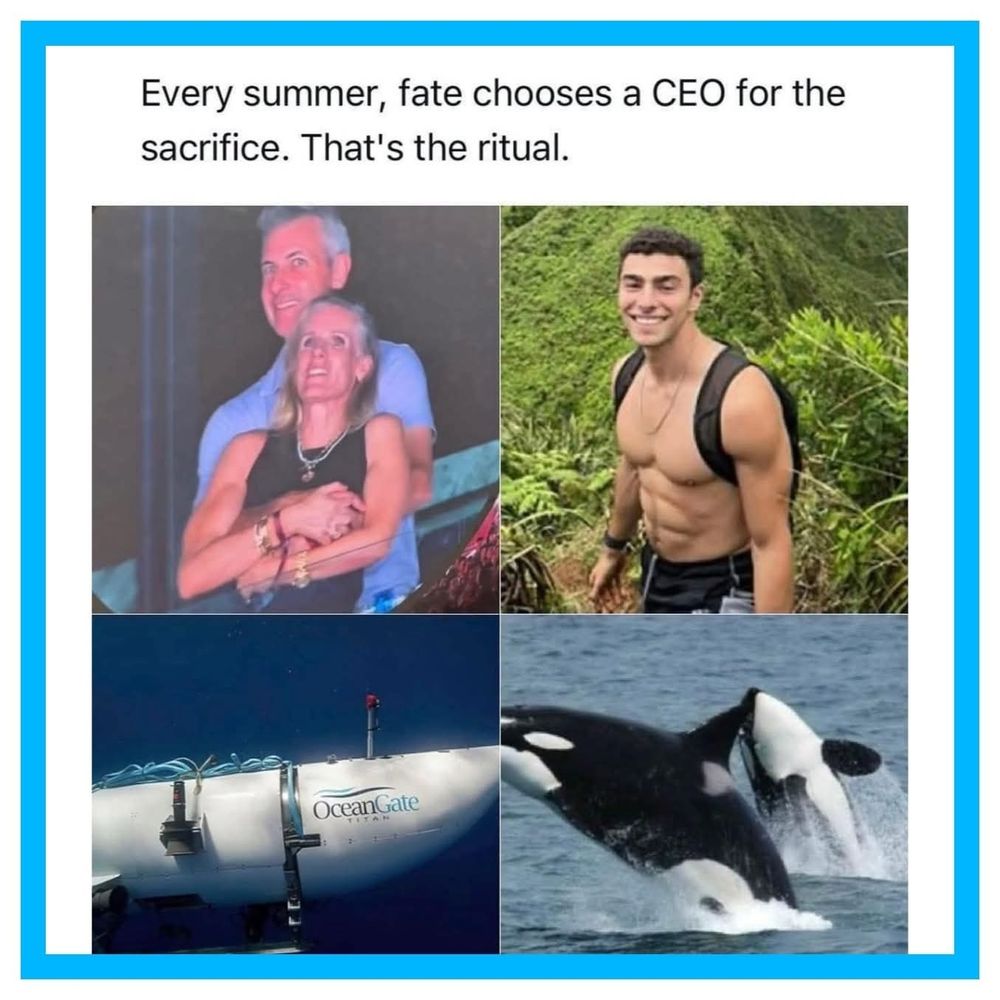 "Every summer, fate chooses a CEO for the sacrifice. That's the ritual." above 
photos of cheating CEO at Coldplay concert, Luigi, the OceanGate sub and two orcas.