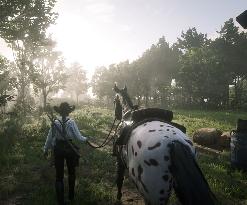 a cowgirl leading a horse in a pretty sunrise