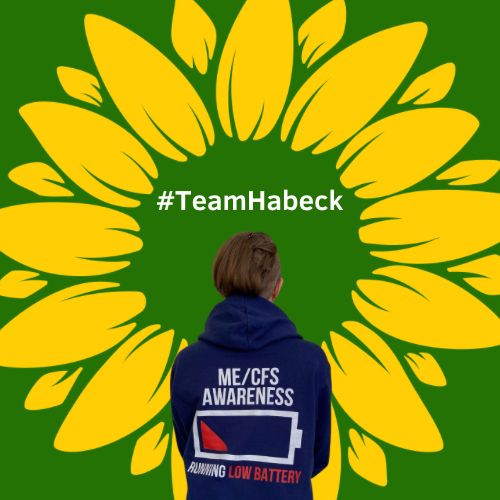 Grüner Hintergrund, darüber eine gelbe, stilisierte Sonnenblume. Im unteren, mittleren Bereich eine Rückenansicht von mir mit der Aufschrift: „ME/CFS Awareness - Running Low Battery“
Über meinem Kopf steht: #Team Habeck.