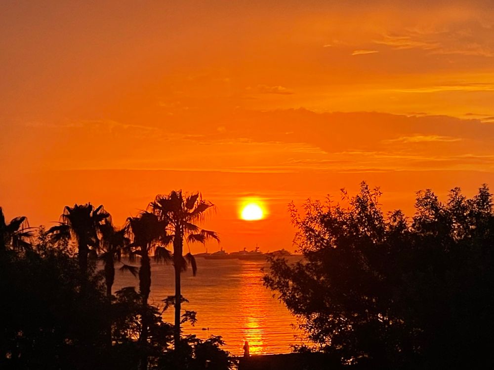 Sun rising in a blood red sky, reflecting in the still, copper waters of the bay, framed by the silhouettes of palm trees in the foreground.