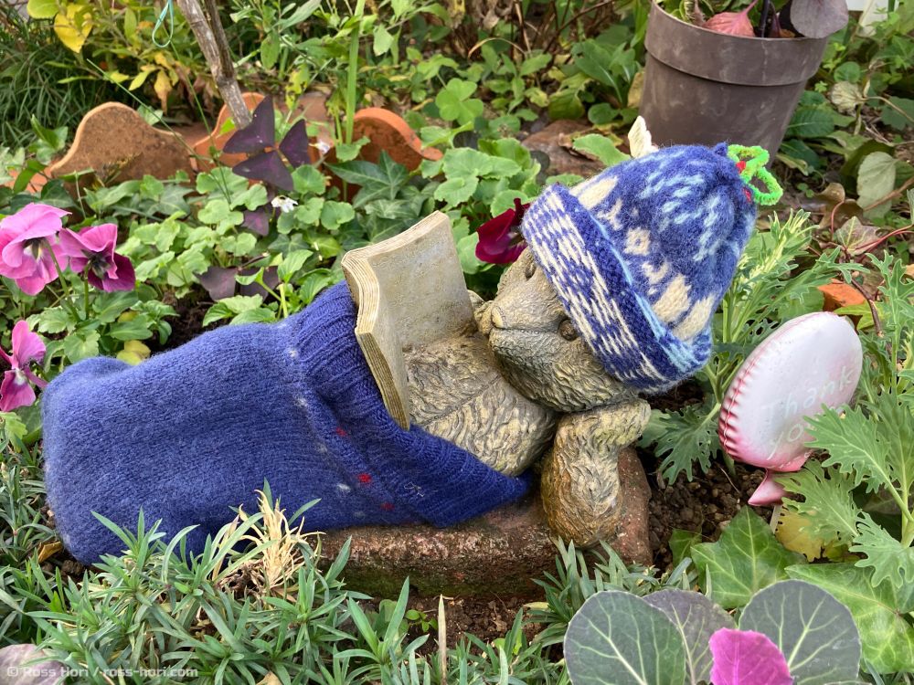 A ceramic bear cuddles up under a wooly hat and knitted blanket (OK, it's a sock but it looks so warm!)
