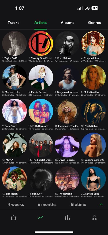 The image shows my personal top 20 artists I have listened to in 2024