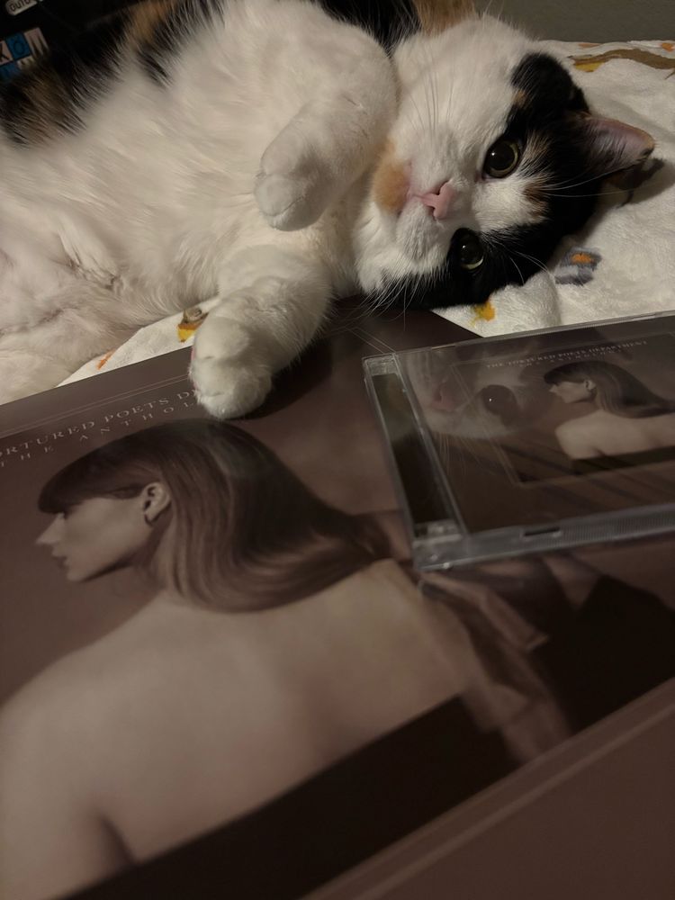 My cat apple is laying down with both the vinyl and CD of ‘The Tortured Poets Department : The Anthology’ in front of her. 