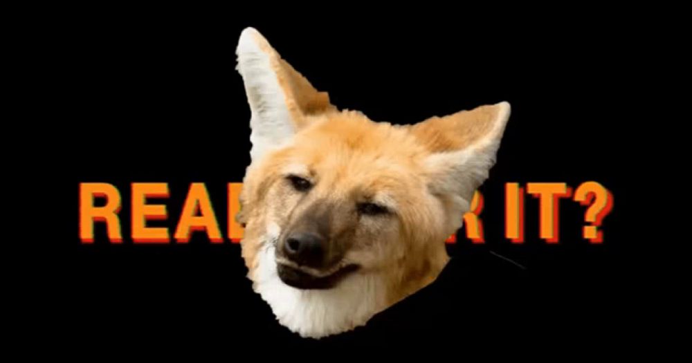 a picture of a dog with the words real it written in orange