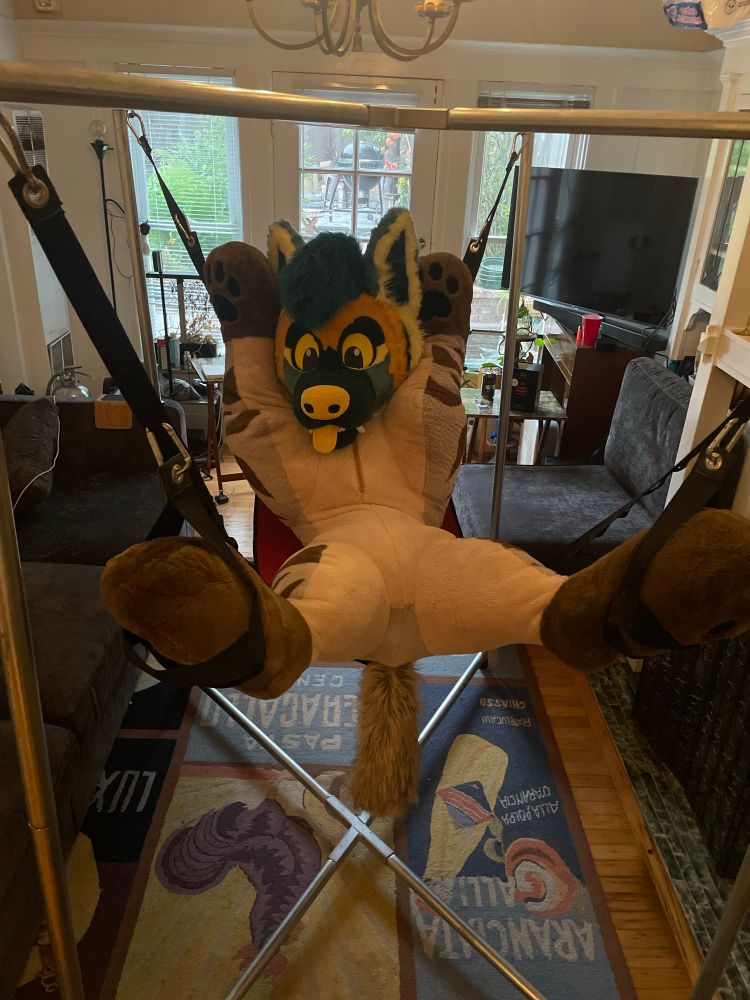 Somone(?) in a sex swing
