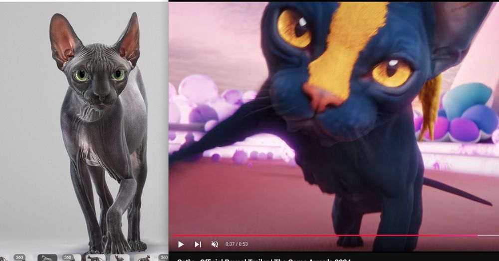 left: screenshot of a really nice cat model from Turbosquid user "Furok"

right: screenshot of Catly trailer with a very similar cat, except it has a funky orange stripe on its face