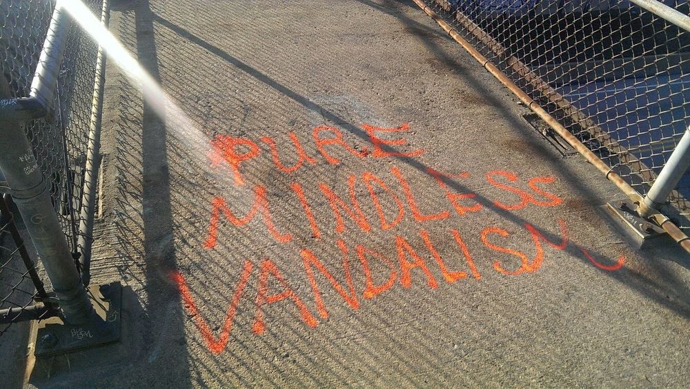 Graffiti on the ground that reads PURE MINDLESS VANDALISM
